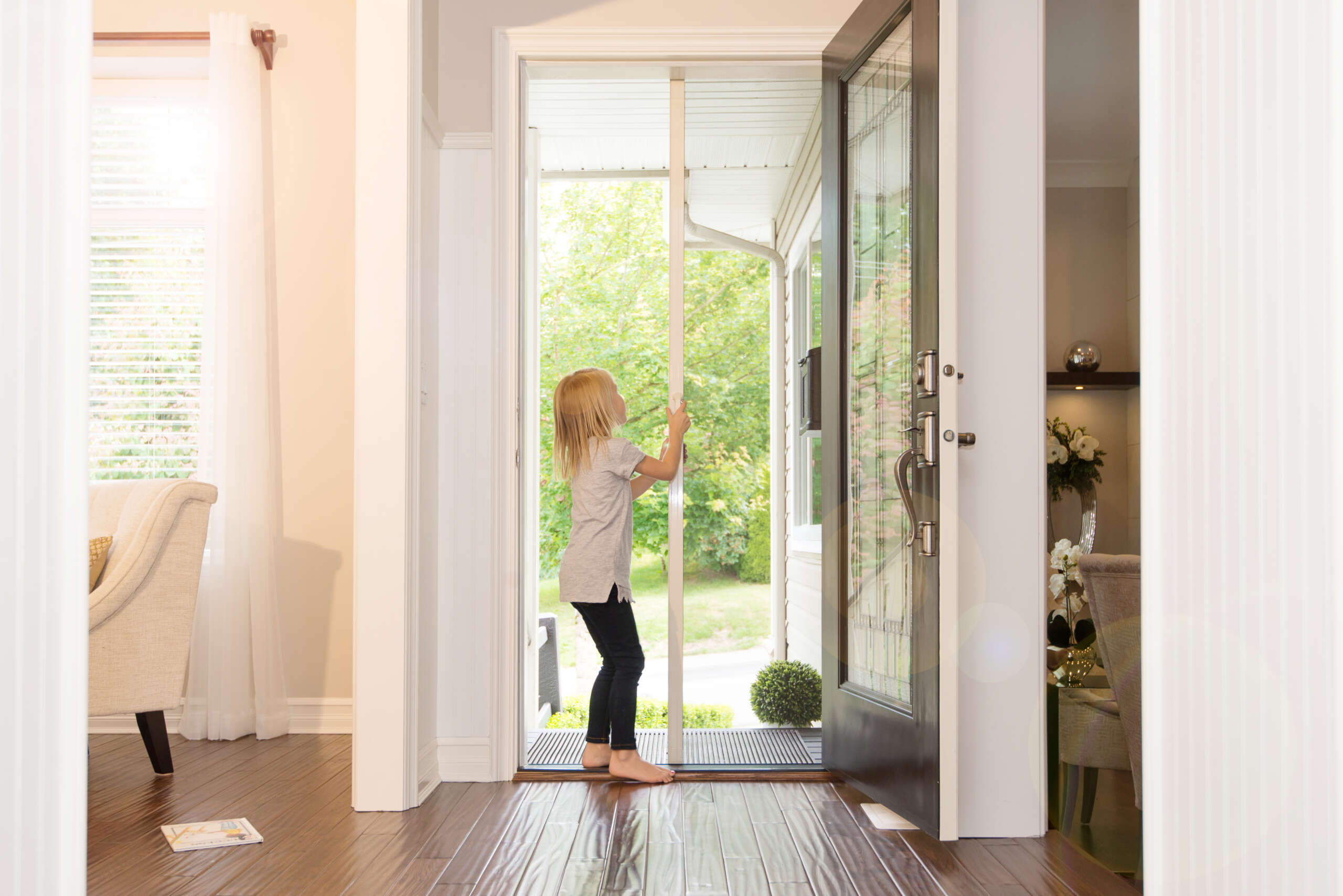 Phantom Screens for your back door. Keep an eye on the kids / grandchildren without worrying about bugs in the house.